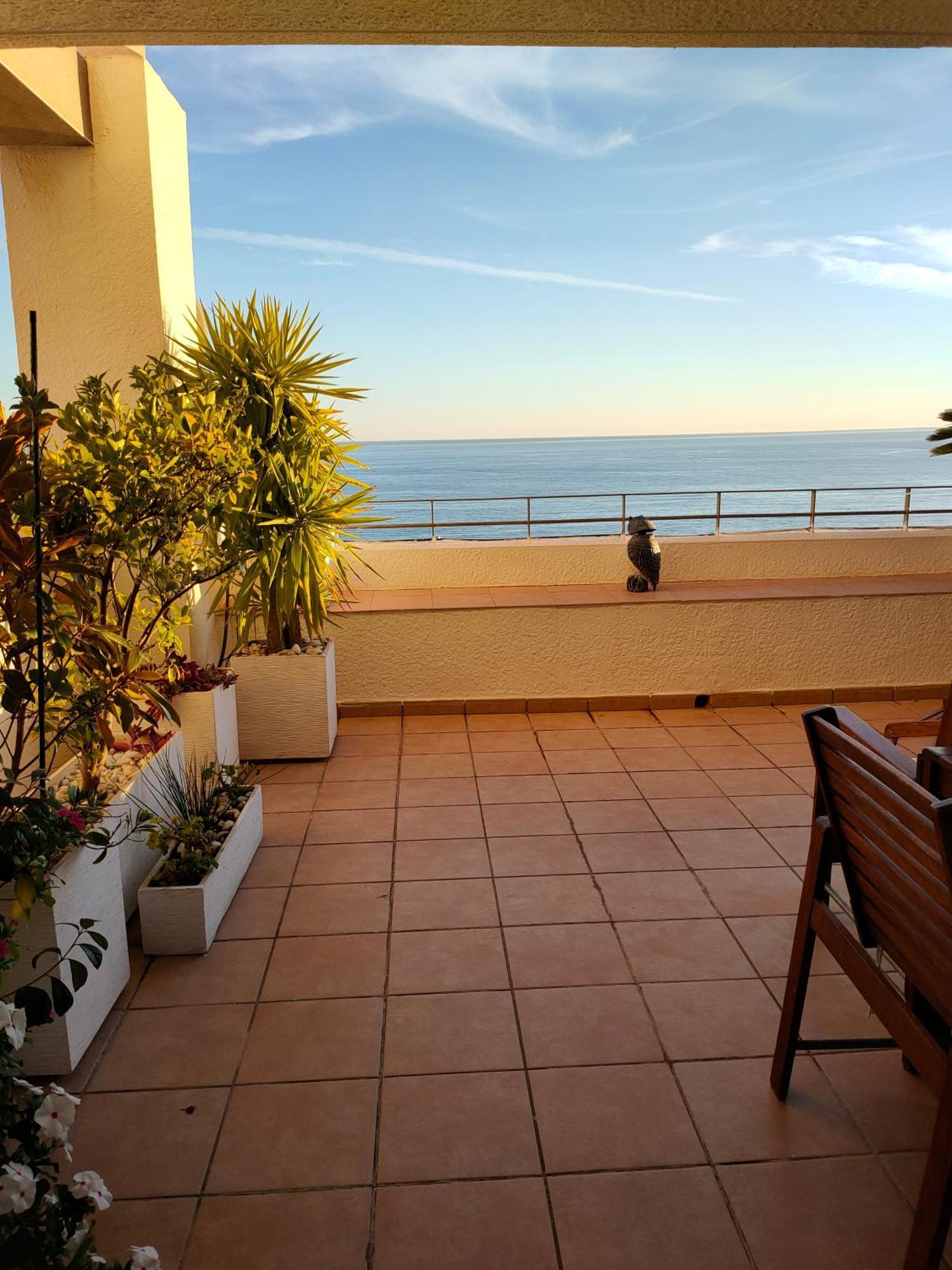 Piso En La Primera Linea Del Mar Con 2 Dormitorios Benidorm Esterno foto